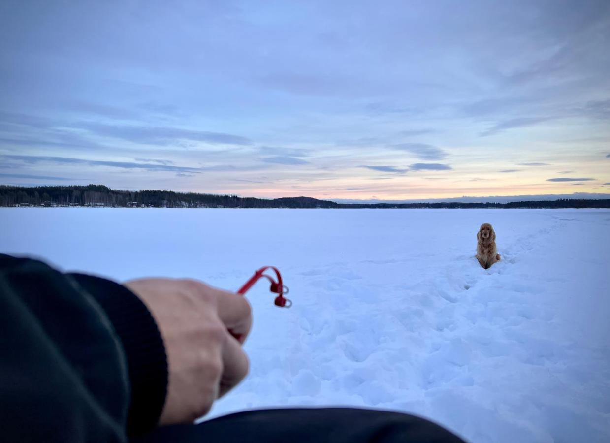 Vaelituvan Lomamoekit Punkaharju Eksteriør billede
