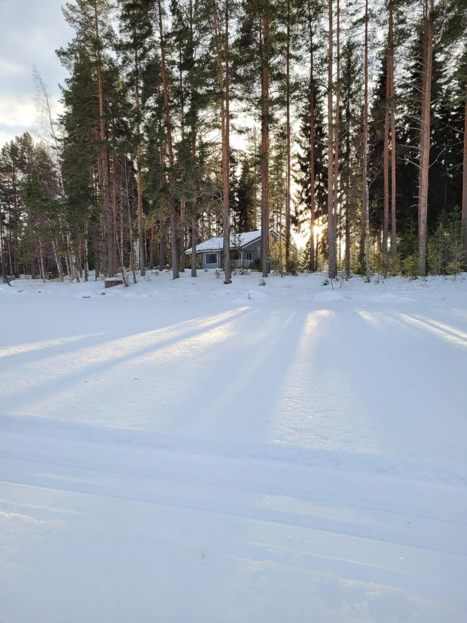 Vaelituvan Lomamoekit Punkaharju Eksteriør billede